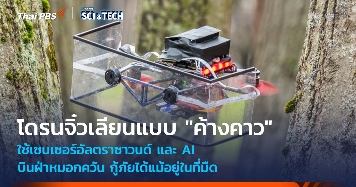 โดรนจิ๋วพลังโซนาร์ เลียนแบบ "ค้างคาว" บินฝ่าม่านหมอก-ควันไฟ กู้ภัยได้แม้ในที่มืด