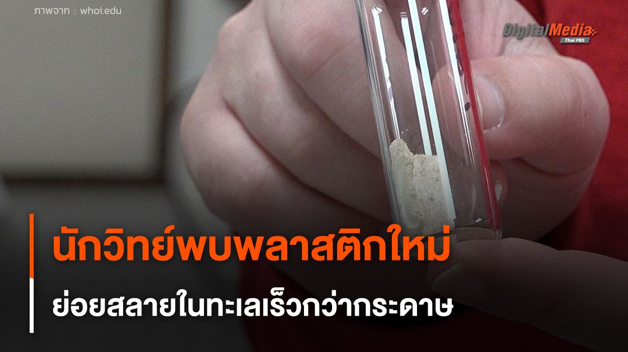 นักวิทย์พบพลาสติกใหม่ ย่อยสลายในทะเลเร็วกว่ากระดาษ 15 เท่า