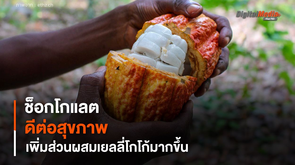 นักวิจัยสวิสคิดค้น "ช็อกโกแลต" ดีต่อสุขภาพ เพิ่มส่วนผสมเยลลี่โกโก้มากขึ้น