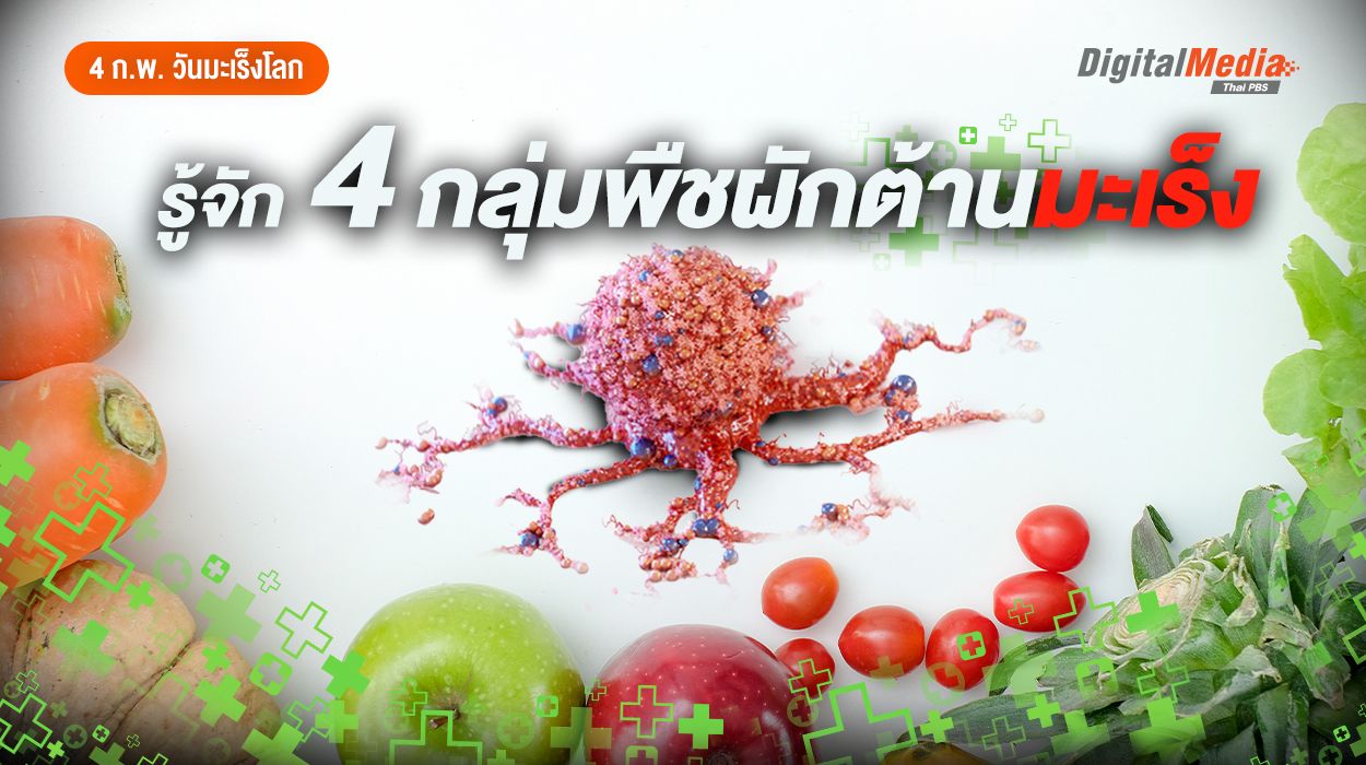 รู้จัก 4 กลุ่มพืชผักต้านมะเร็ง มีอะไรบ้างมาดูกัน