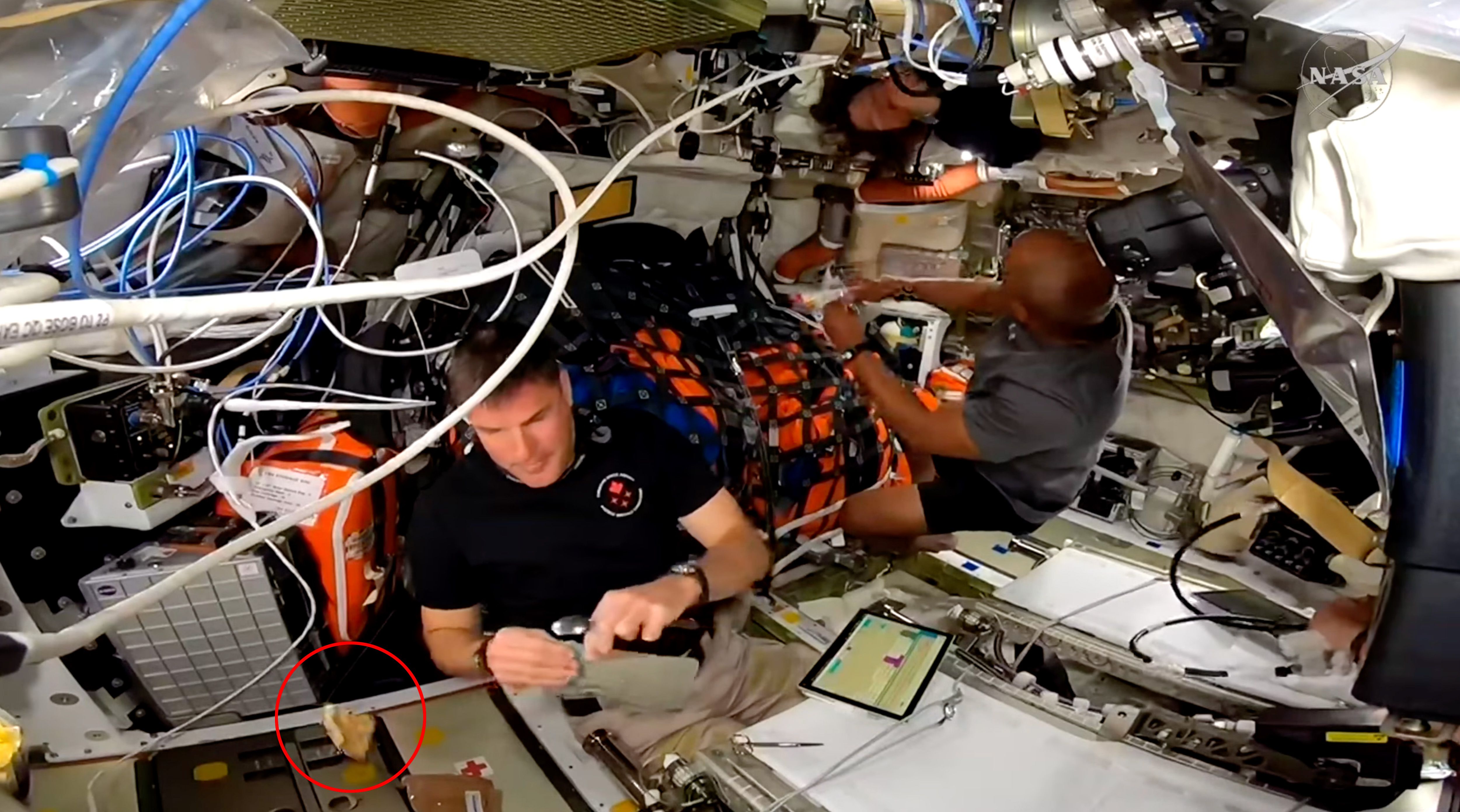 อาหารที่ลอยได้ หลังเผชิญสภาวะไร้แรงโน้มถ่วง