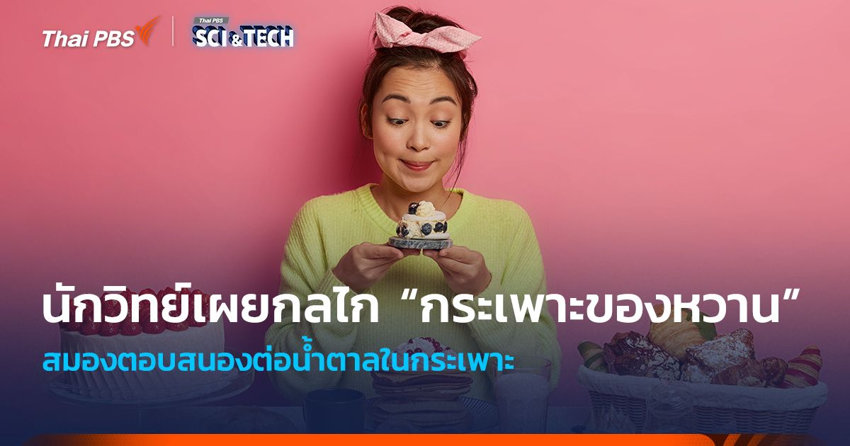 สมองตอบสนองน้ำตาลในกระเพาะ! เผยกลไก "กระเพาะของหวาน" ที่ทำให้อยากของหวาน