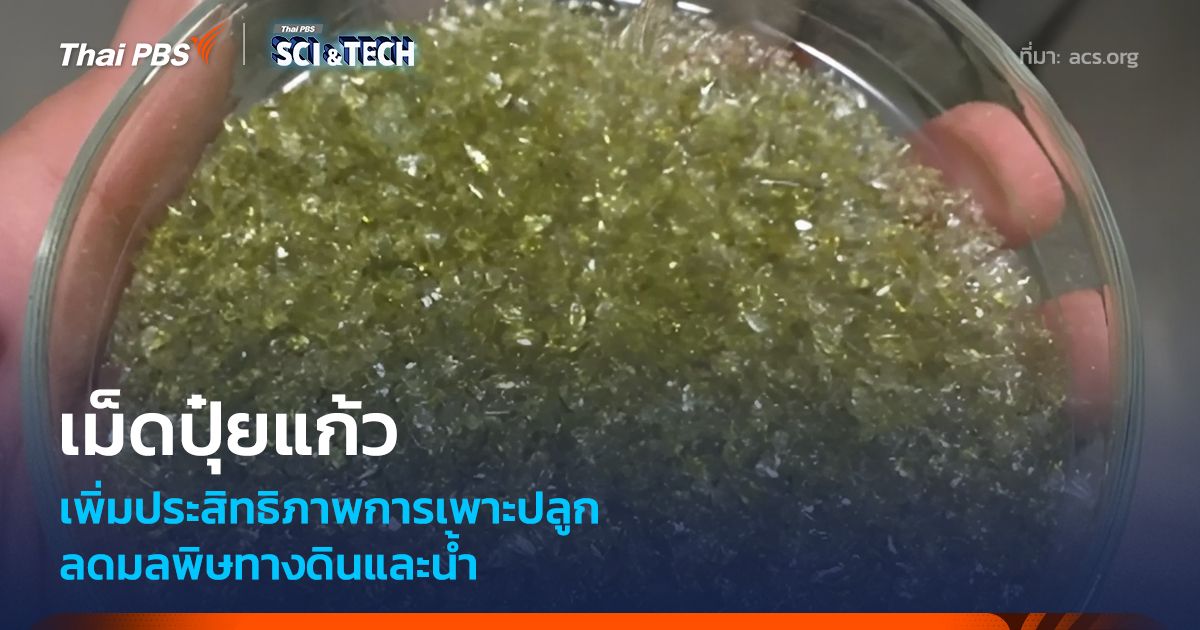 เม็ดปุ๋ยแก้วย่อยสลายได้ เพิ่มประสิทธิภาพการเพาะปลูก ลดมลพิษทางดินและน้ำ