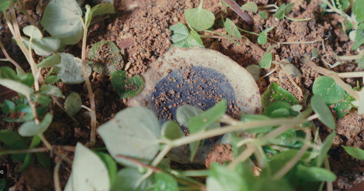 แบตเตอรี่กระดาษ สามารถย่อยสลายได้ในธรรมชาติหลังจากใช้งาน