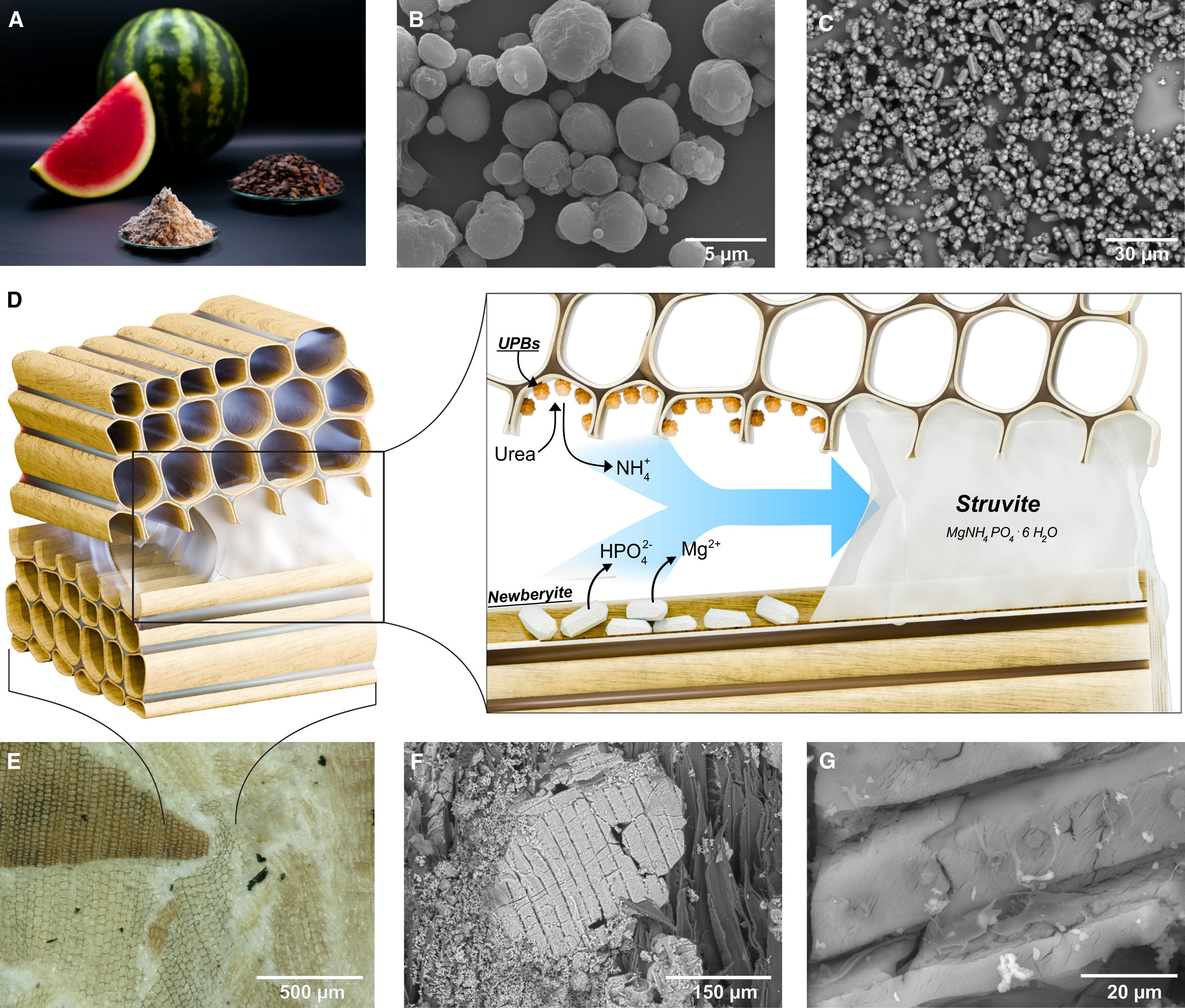 วัสดุกันไฟ ทำจาก ขี้เลื่อย และเมล็ดพืช