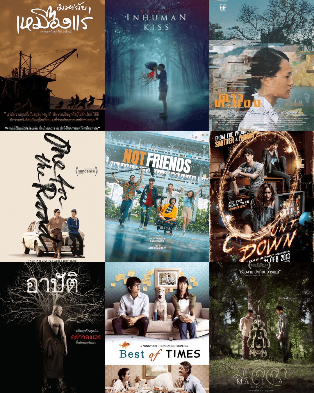 ภาพยนตร์ไทยส่วนหนึ่งที่เป็นตัวแทนในการคัดเลือก สาขาภาพยนตร์ต่างประเทศยอดเยี่ยม บนเวทีออสการ์