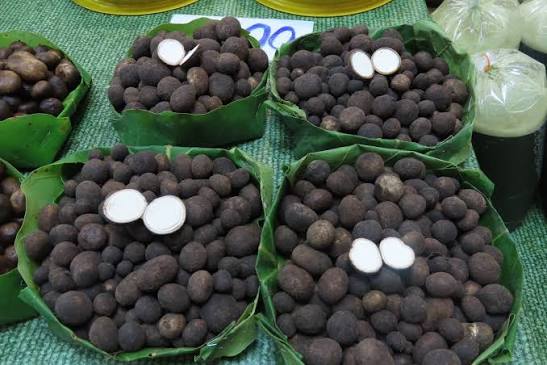 เห็ดเผาะ ภาพจากกรมอุทยานแห่งชาติ สัตว์ป่า และพันธุ์พืช
