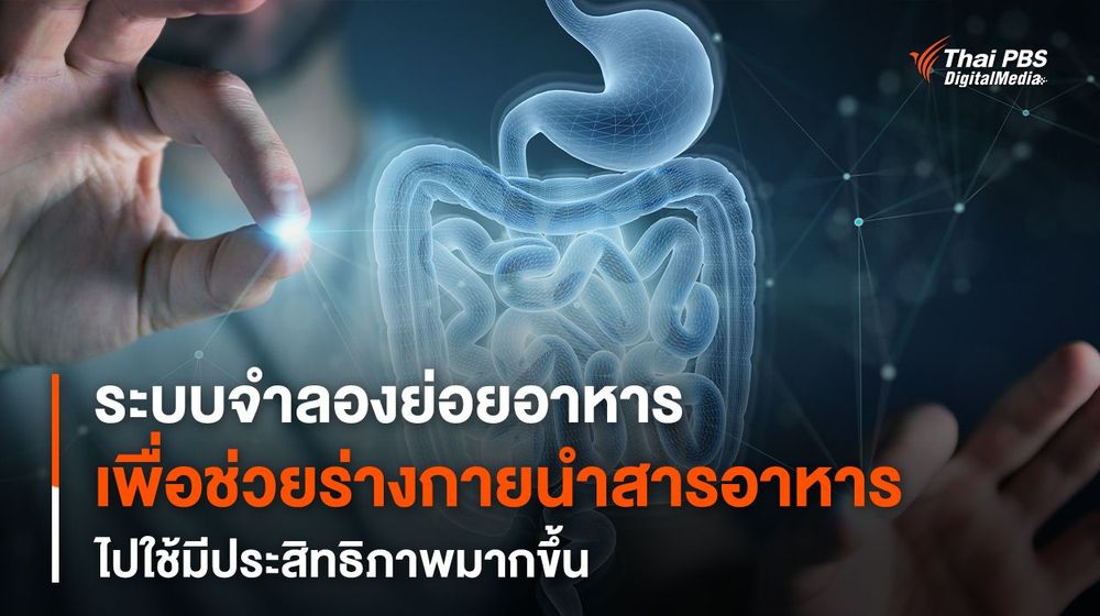 ระบบจำลองย่อยอาหาร เพื่อช่วยร่างกายนำ “สารอาหาร” ไปใช้มีประสิทธิภาพมากขึ้น