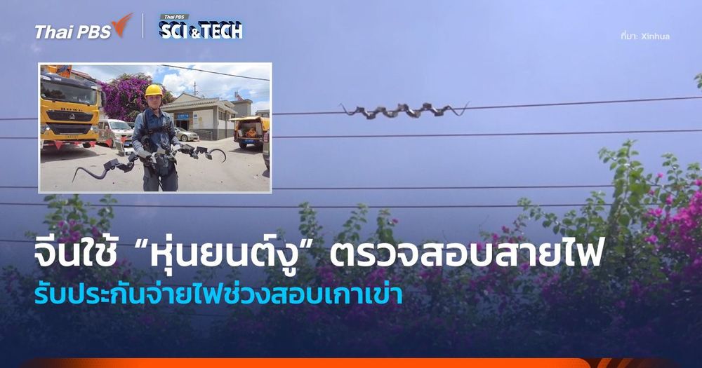 จีนใช้ “หุ่นยนต์งู” ตรวจสอบสายไฟ รับประกันจ่ายไฟช่วงสอบเกาเข่า