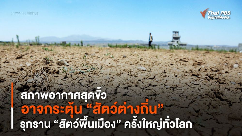 “สภาพอากาศสุดขั้ว” อาจกระตุ้น “สัตว์ต่างถิ่น” รุกราน “สัตว์พื้นเมือง” ครั้งใหญ่ทั่วโลก