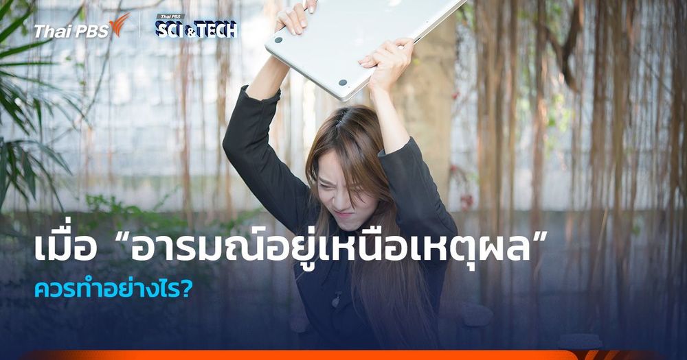 ไม่อยากให้ “อารมณ์อยู่เหนือเหตุผล” ควรทำอย่างไร?