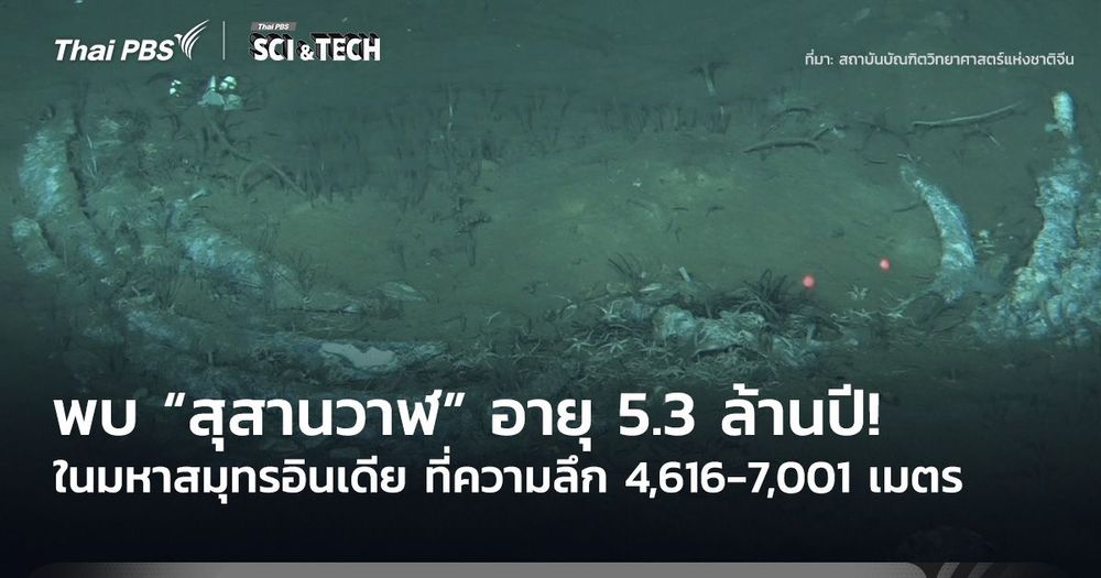 อายุอย่างน้อย 5.3 ล้านปี! พบสุสานวาฬในมหาสมุทรอินเดียที่ความลึก 7,000 เมตร