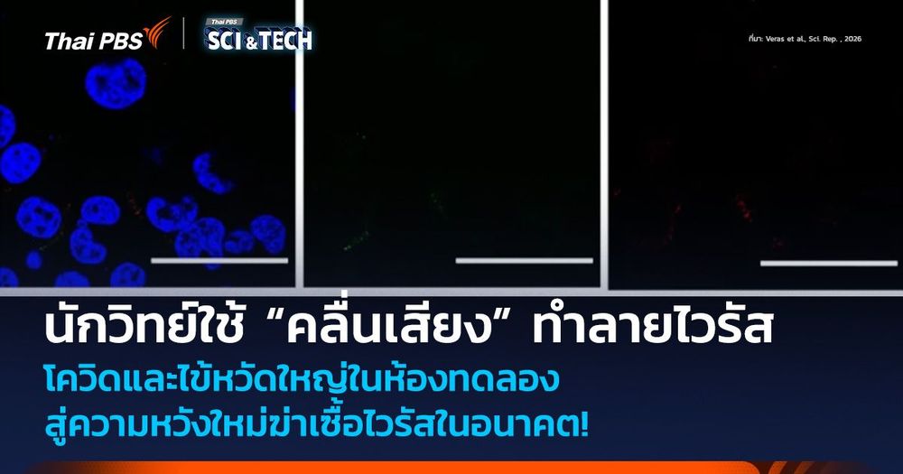 นักวิทย์ใช้ “คลื่นเสียง” ทำลายไวรัสโควิดและไข้หวัดใหญ่ในห้องทดลอง