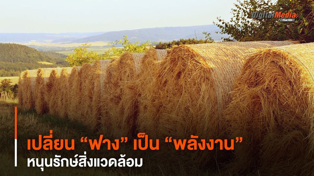 จีนเปลี่ยน “ฟาง” เป็น “พลังงาน” หนุนรักษ์สิ่งแวดล้อม