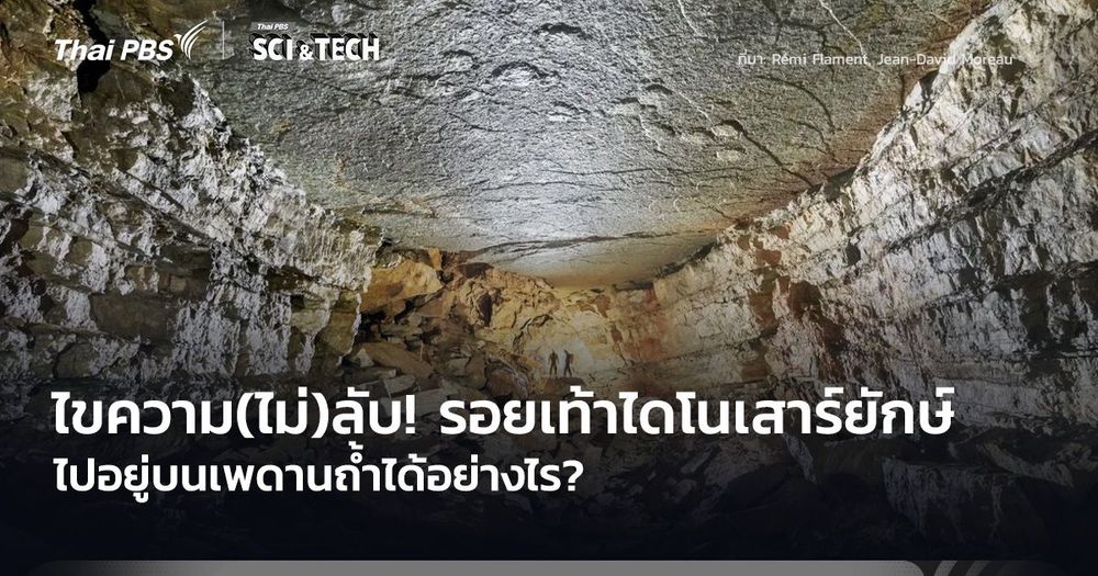 ไขความ(ไม่)ลับ! รอยเท้าไดโนเสาร์ยักษ์ ไปอยู่บนเพดานถ้ำได้อย่างไร?