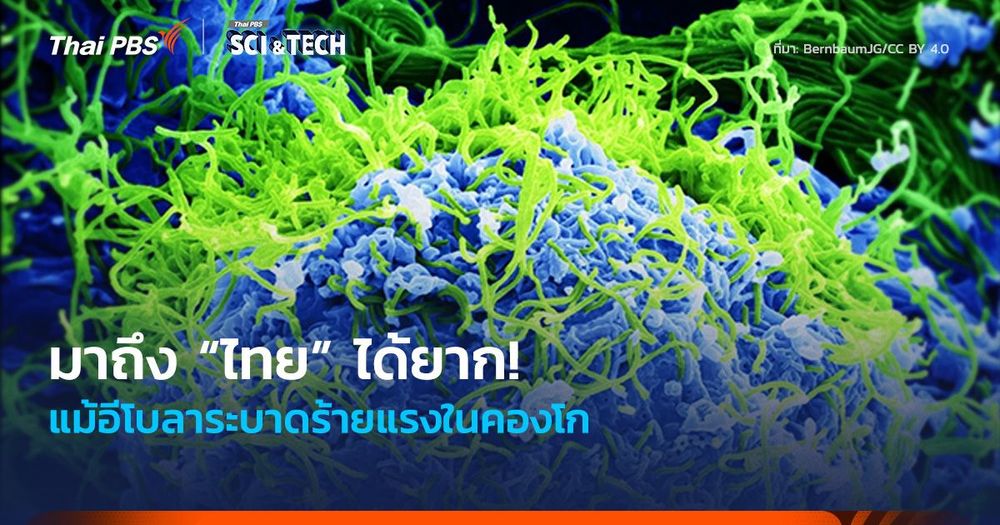 มาถึง “ไทย” ได้ยาก! แม้อีโบลาระบาดร้ายแรงในคองโก