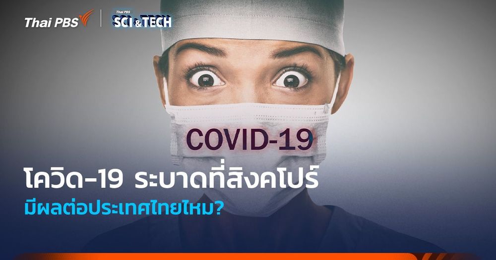 โควิด-19 ระบาดที่สิงคโปร์ มีผลต่อประเทศไทยไหม?
