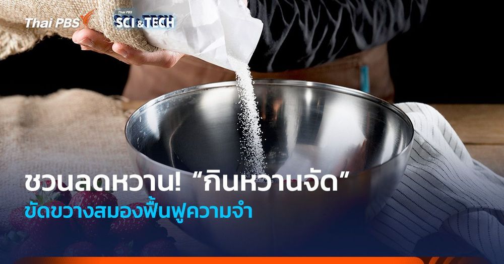 ชวนลดหวาน! “กินหวานจัด” ขัดขวางสมองฟื้นฟูความจำ 