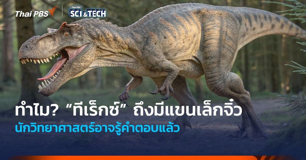 ทำไม? “ทีเร็กซ์” ถึงมีแขนเล็กจิ๋ว นักวิทยาศาสตร์อาจรู้คำตอบแล้ว