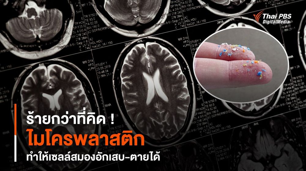 ร้ายกว่าที่คิด ! “ไมโครพลาสติก” ทำให้เซลล์สมองอักเสบ-ตายได้