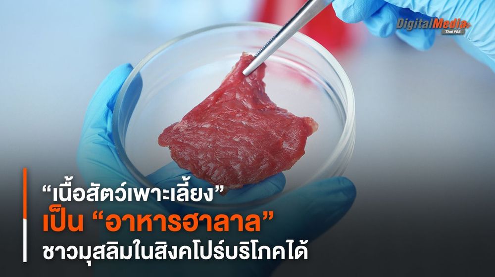 “เนื้อสัตว์เพาะเลี้ยง” เป็น “อาหารฮาลาล” ชาวมุสลิมในสิงคโปร์บริโภคได้