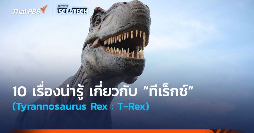 10 เรื่องน่ารู้ เกี่ยวกับ “ทีเร็กซ์” (Tyrannosaurus Rex)