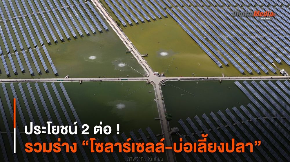 ประโยชน์ 2 ต่อ ! รวมร่าง “โซลาร์เซลล์-บ่อเลี้ยงปลา”