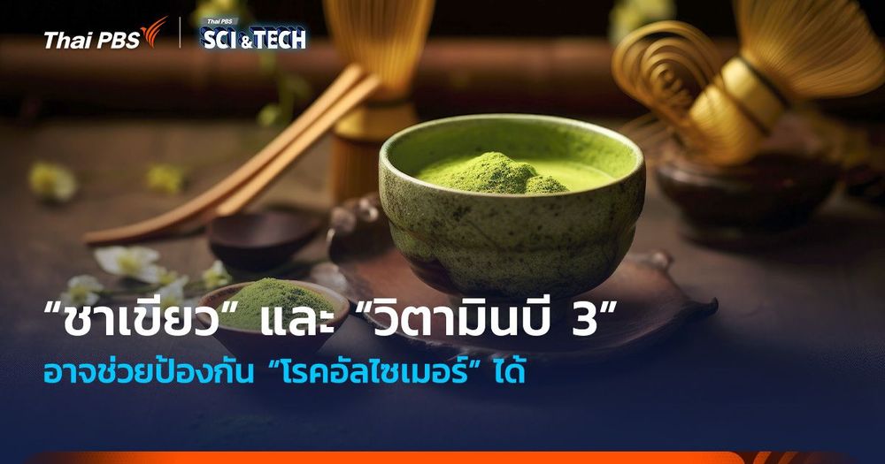 มีข่าวมาบอก! “ชาเขียว” และ “วิตามินบี 3” อาจช่วยป้องกัน “โรคอัลไซเมอร์” ได้