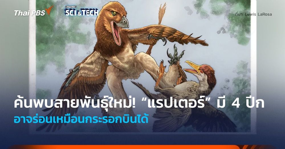 ค้นพบสายพันธุ์ใหม่! “แรปเตอร์” มี 4 ปีก อาจร่อนเหมือนกระรอกบินได้