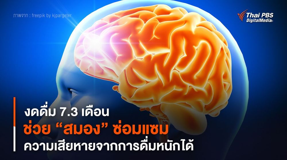 งดดื่ม 7.3 เดือน ช่วย “สมอง” ซ่อมแซมความเสียหายจากการดื่มหนักได้