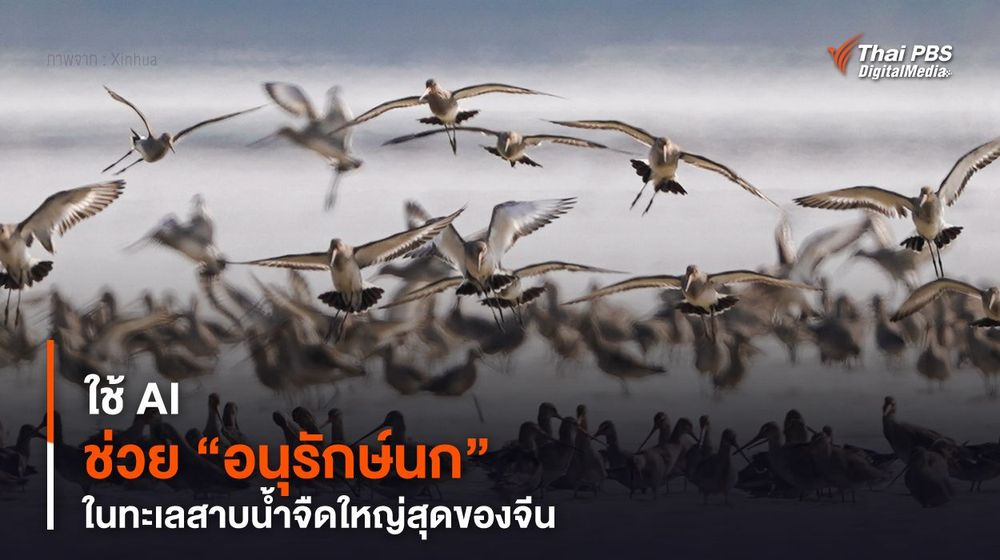 ใช้ AI ช่วย “อนุรักษ์นก” ในทะเลสาบน้ำจืดใหญ่สุดของจีน