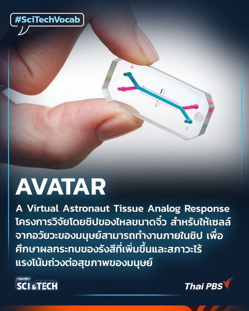 AVATAR