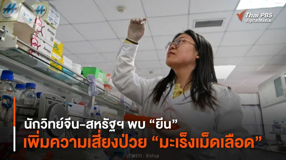 นักวิทย์จีน-สหรัฐฯ พบ “ยีน” เพิ่มความเสี่ยงป่วย “มะเร็งเม็ดเลือด”