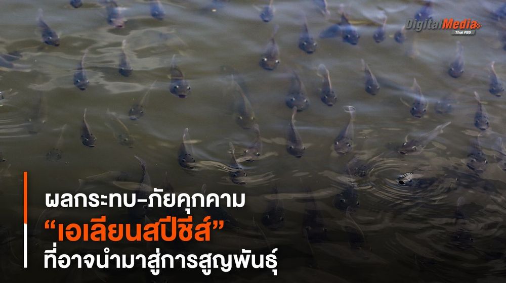 “เอเลียนสปีชีส์” ผลกระทบ-ภัยคุกคามที่อาจนำมาสู่การสูญพันธุ์