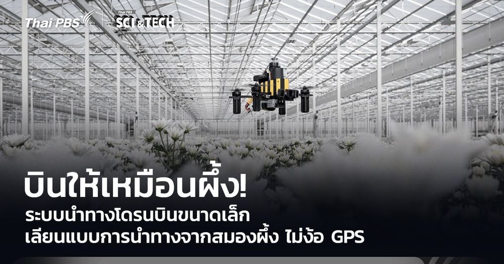 บินให้เหมือนผึ้ง! ระบบนำทางโดรนบินขนาดเล็ก เลียนแบบการนำทางจากสมองผึ้ง ไม่ง้อ GPS