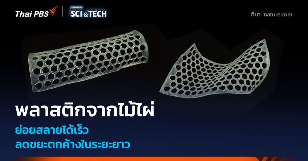 พลาสติกชีวภาพจากไม้ไผ่ ย่อยสลายได้เร็ว ลดขยะตกค้างในระยะยาว