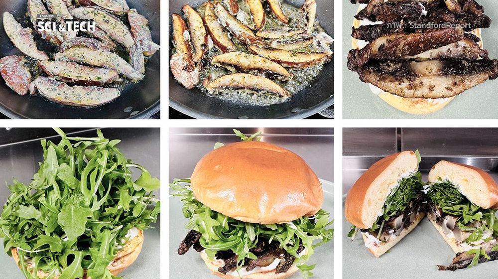 เบอร์เกอร์กู้โลก! นักวิจัยพัฒนา "BurgerAI" ออกแบบเมนูโปรดให้รักษ์โลกขึ้น 10 เท่า