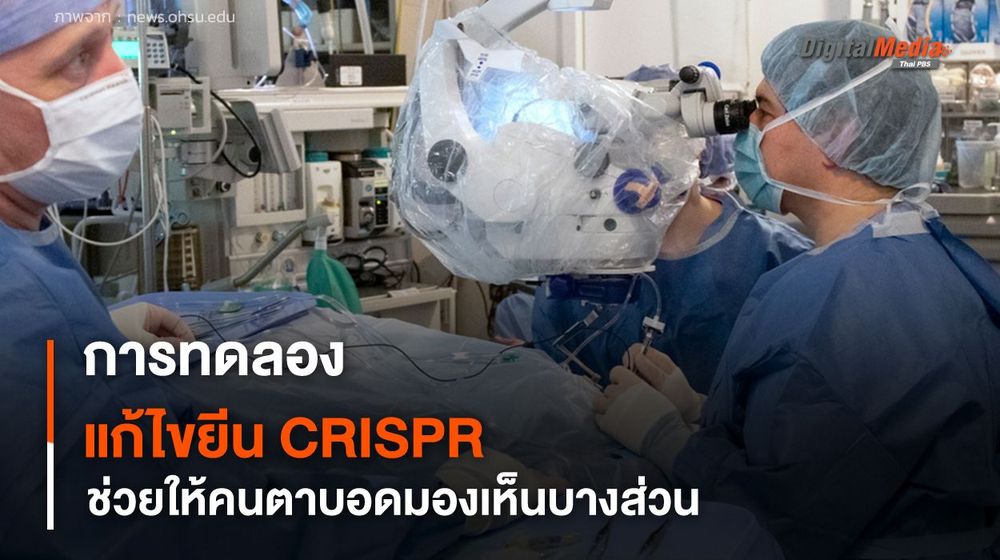 การทดลองแก้ไขยีน CRISPR ทางคลินิก ช่วยให้คนตาบอดมองเห็นบางส่วน