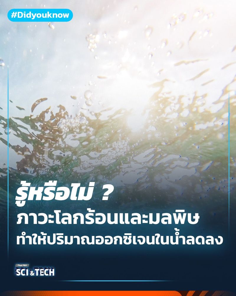 ภาวะโลกร้อนและมลพิษ ทำให้ปริมาณ “ออกซิเจน” ในน้ำลดลง