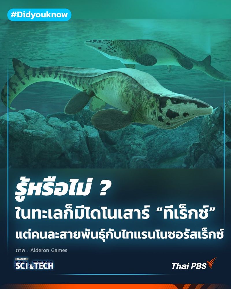 ในทะเลก็มี “ทีเร็กซ์” แต่คนละสายพันธุ์กับไทแรนโนซอรัสเร็กซ์