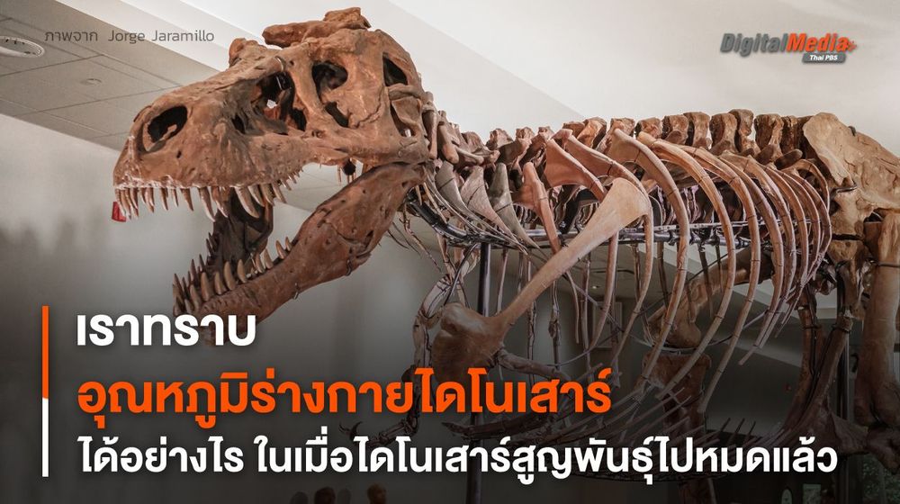 รู้ไหม ? ทราบอุณหภูมิร่างกายของ “ไดโนเสาร์” ได้อย่างไร