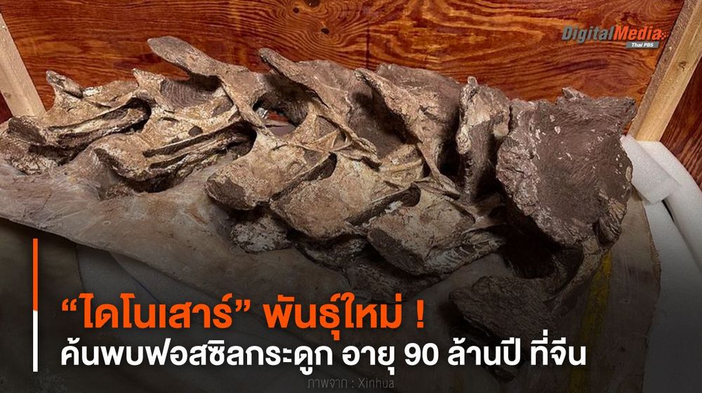 “ไดโนเสาร์” พันธุ์ใหม่ ! ค้นพบฟอสซิลกระดูก อายุ 90 ล้านปี ที่จีน