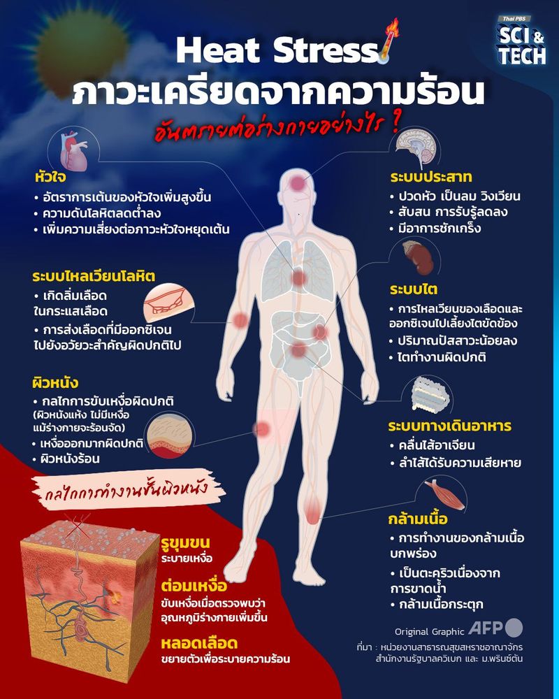 Heat Stress ภาวะเครียดจากความร้อน อันตรายต่อร่างกายอย่างไร ?