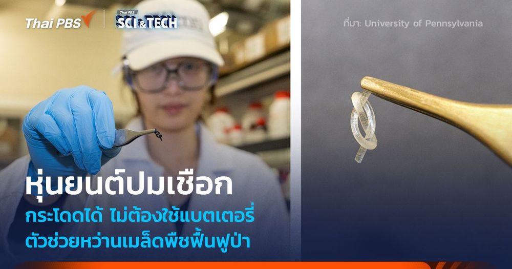 หุ่นยนต์ปมเชือก ขนาดเล็กจิ๋ว ไร้แบตเตอรี่ บิน-กระโดดได้ ตัวช่วยหว่านเมล็ดฟื้นฟูป่า