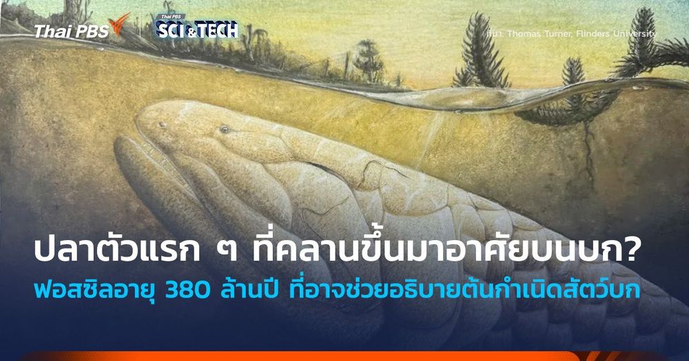ปลาตัวแรก ๆ ที่คลานขึ้นบก? ฟอสซิลอายุ 380 ล้านปี ที่อาจช่วยอธิบายต้นกำเนิดสัตว์บก