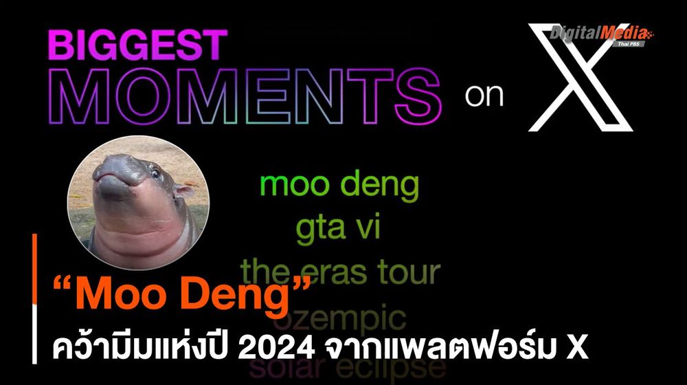 7.7 ล้านโพสต์ ! “Moo Deng” คว้ามีมแห่งปี 2024 จากแพลตฟอร์ม X