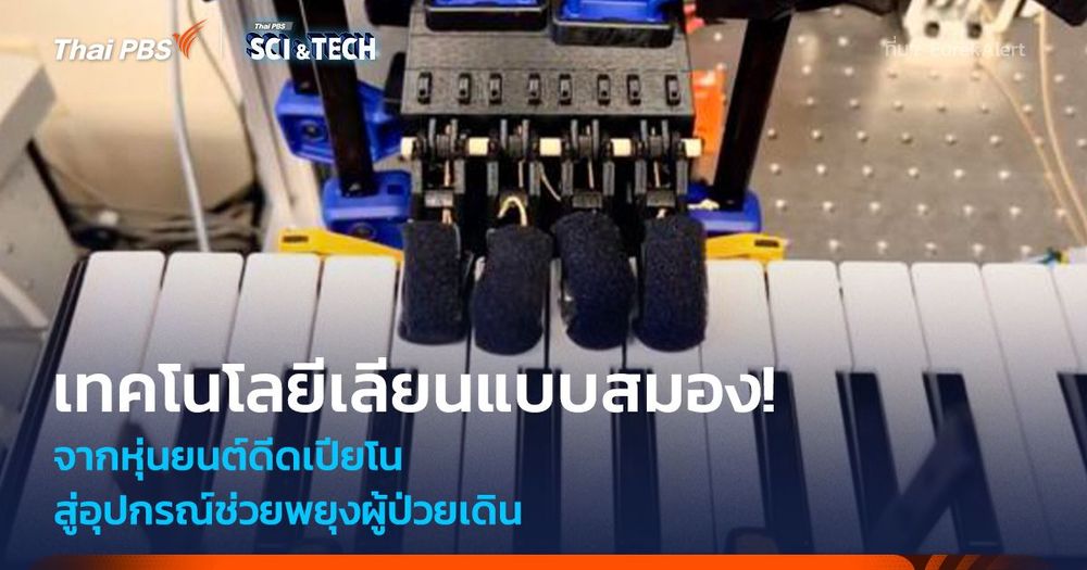 เทคโนโลยีเลียนแบบสมอง! จากหุ่นยนต์ดีดเปียโน สู่อุปกรณ์ช่วยพยุงผู้ป่วยเดิน