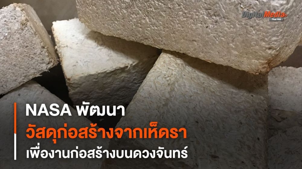 NASA กับการพัฒนาสิ่งปลูกสร้างสำหรับนักบินอวกาศจากเห็ดรา