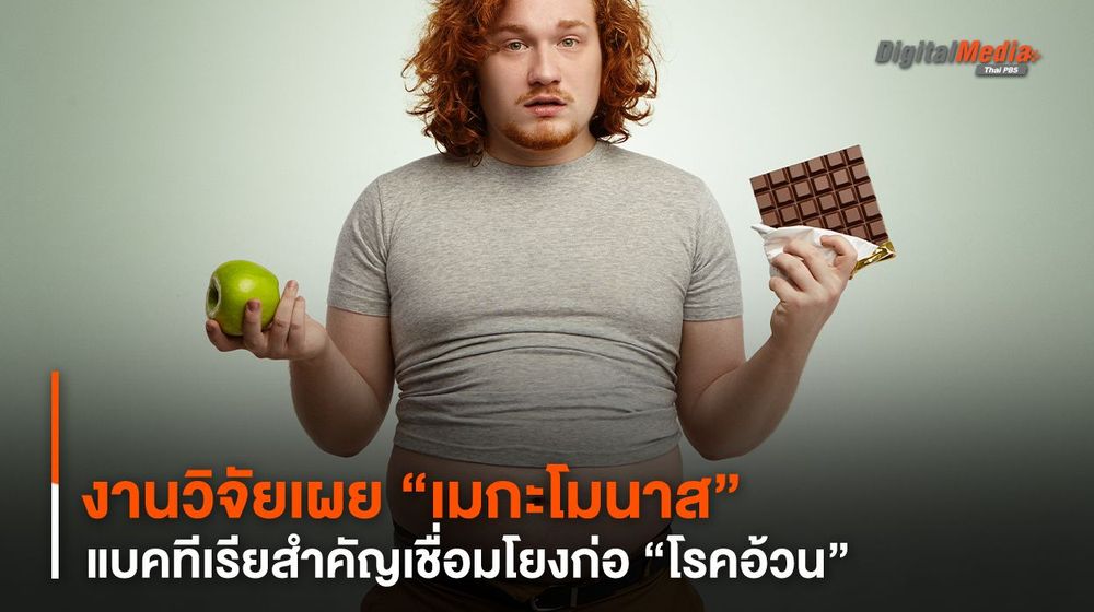 งานวิจัยเผย “เมกะโมนาส” แบคทีเรียสำคัญเชื่อมโยงก่อ “โรคอ้วน”