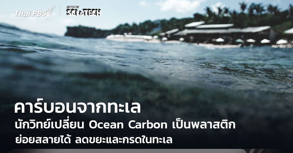 นักวิทย์เปลี่ยน Ocean Carbon เป็นพลาสติกย่อยสลายได้ ลดขยะและกรดในทะเล